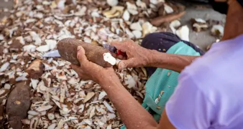 Apa Hubungan Tepung Singkong dan Pemadaman Api?
